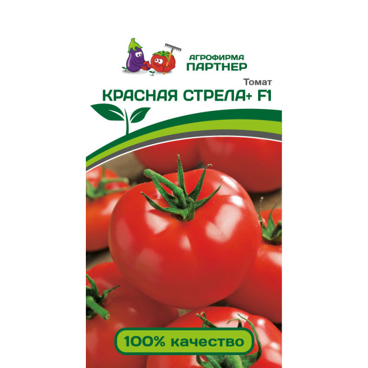 КРАСНАЯ СТРЕЛА ПЛЮС