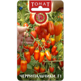 ЧЕРРИПАЛЬЧИКИ