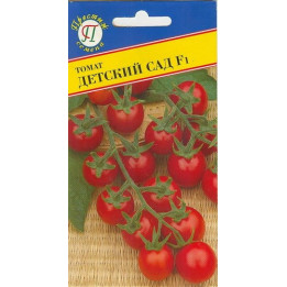 ДЕТСКИЙ САД