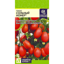 СОЛЬНЫЙ НОМЕР