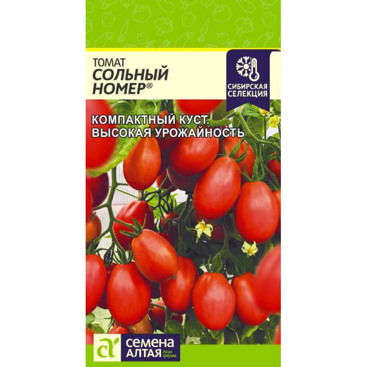 СОЛЬНЫЙ НОМЕР