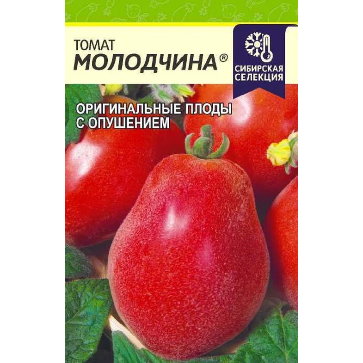 МОЛОДЧИНА