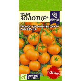 ЗОЛОТЦЕ