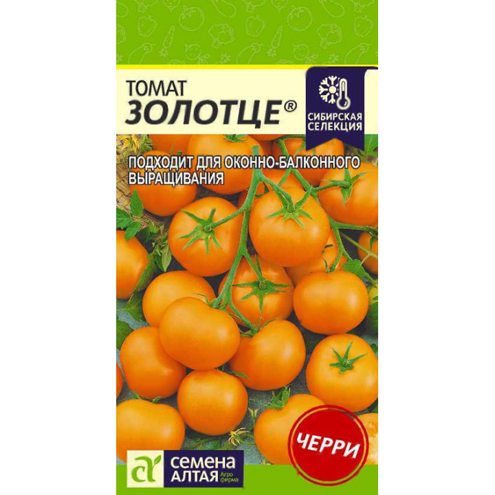 ЗОЛОТЦЕ
