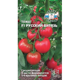 РУССКИЙ ВИТЯЗЬ
