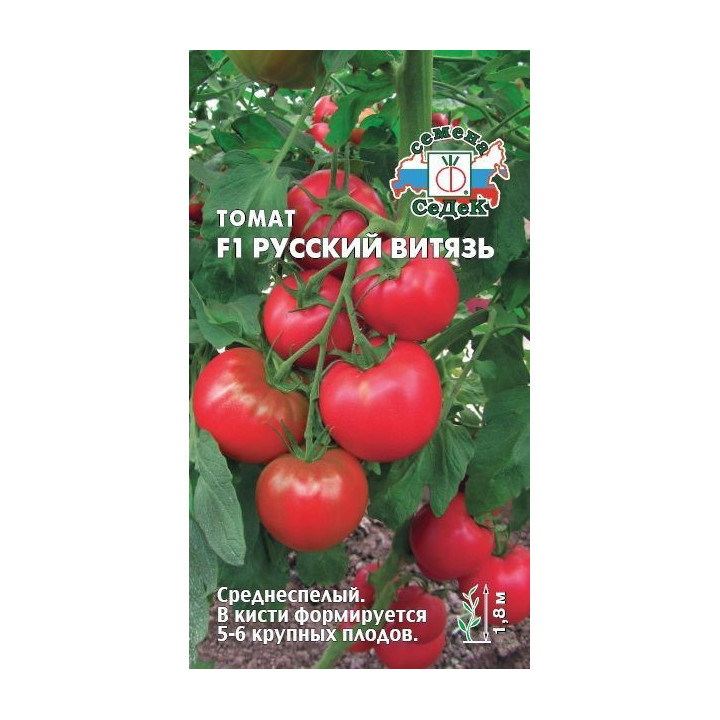РУССКИЙ ВИТЯЗЬ