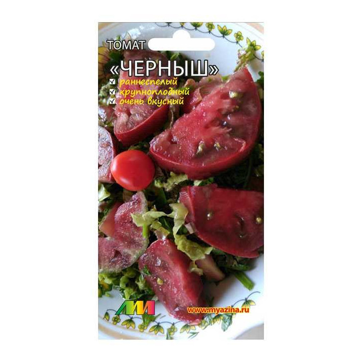 ЧЕРНЫШ