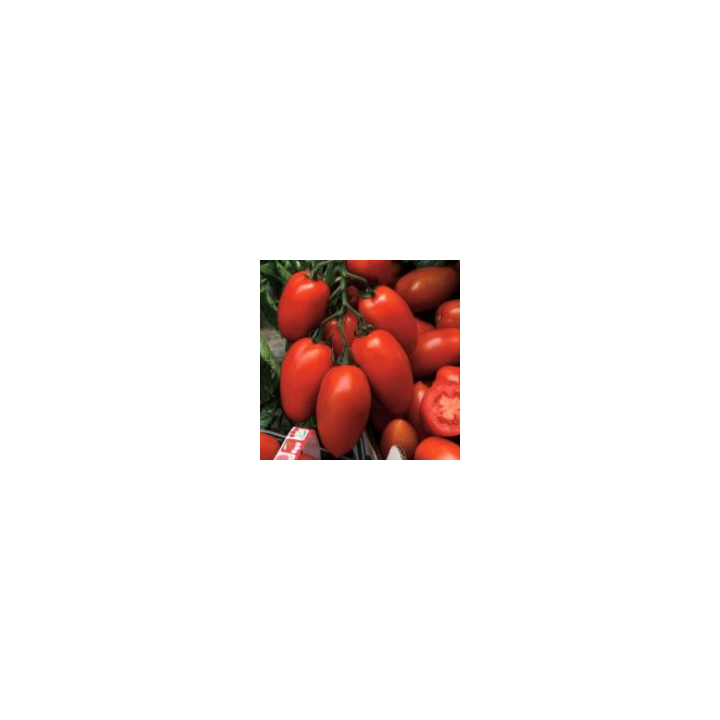 ЛАНСЕЛОТ