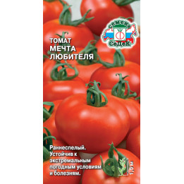МЕЧТА ЛЮБИТЕЛЯ