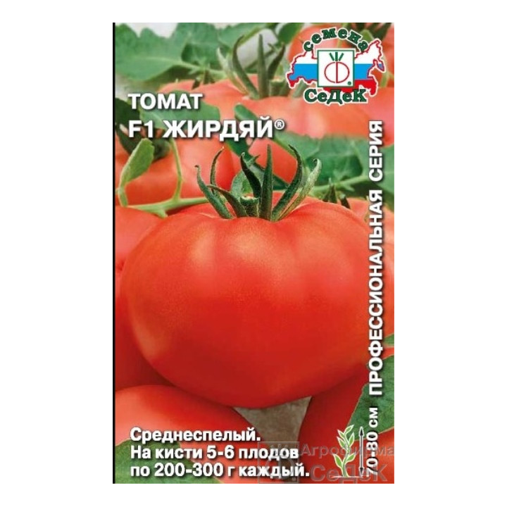 ЖИРДЯЙ