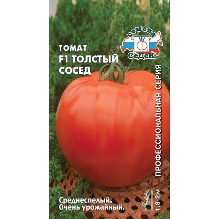 ТОЛСТЫЙ СОСЕД