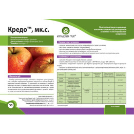 КРЕДО