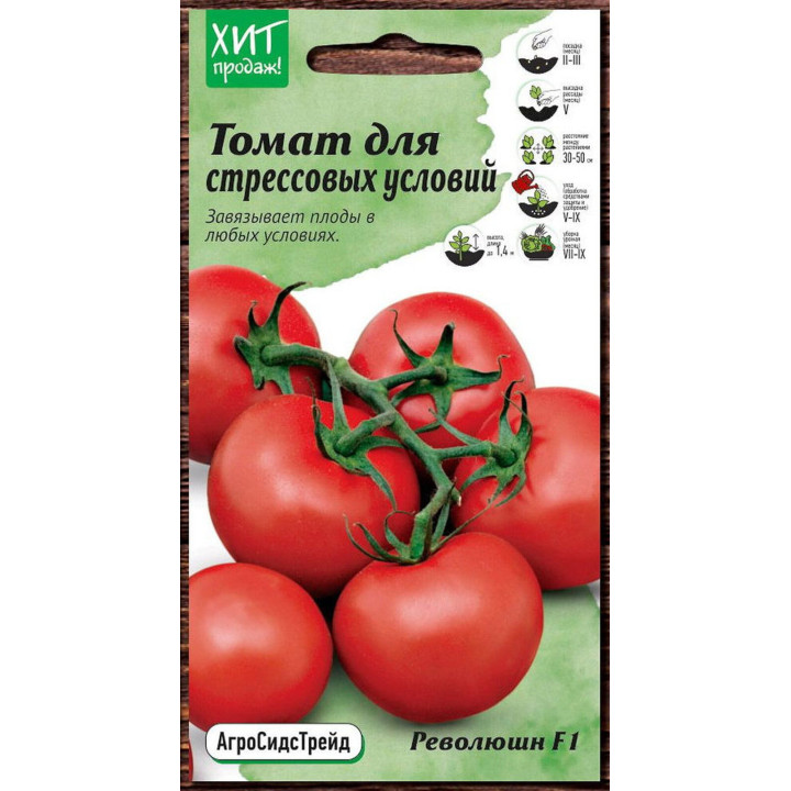 РЕВОЛЮШН