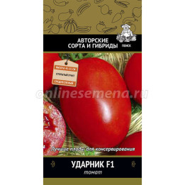 УДАРНИК