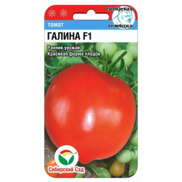 ГАЛИНА
