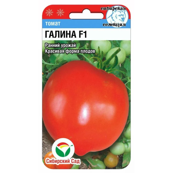ГАЛИНА