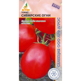 СИБИРСКИЕ ОГНИ