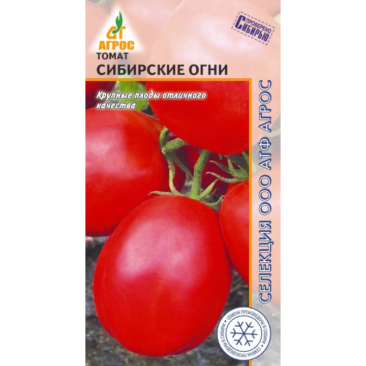 СИБИРСКИЕ ОГНИ