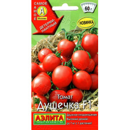 ДУШЕЧКА