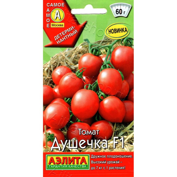ДУШЕЧКА