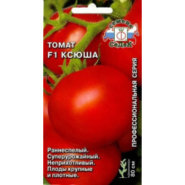 КСЮША