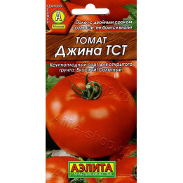 ДЖИНА ТСТ