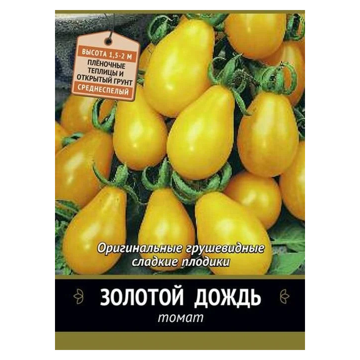 ЗОЛОТОЙ ДОЖДЬ