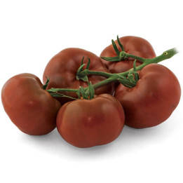 МУЛАТ Б