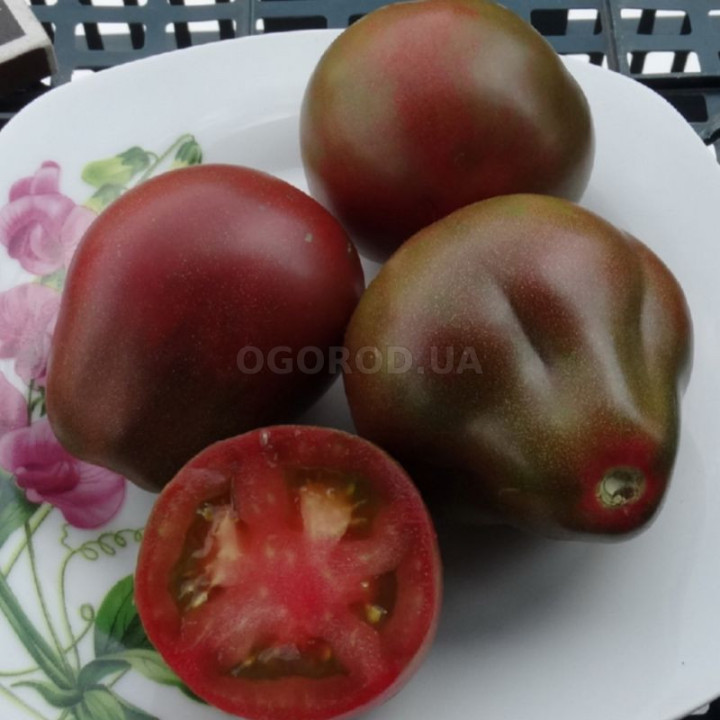 ДЖАГА