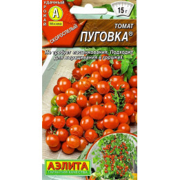 ПУГОВКА