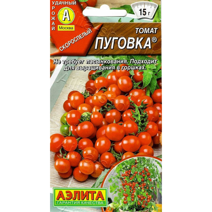 ПУГОВКА