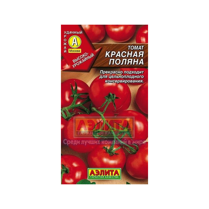 КРАСНАЯ ПОЛЯНА