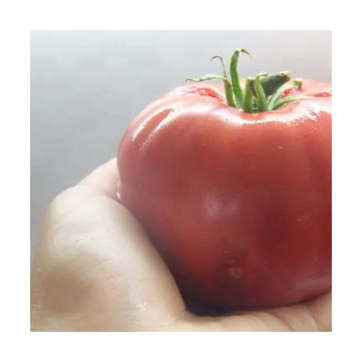 МАЛИНОВЫЙ ГЛОБУС