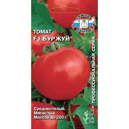 БУРЖУЙ