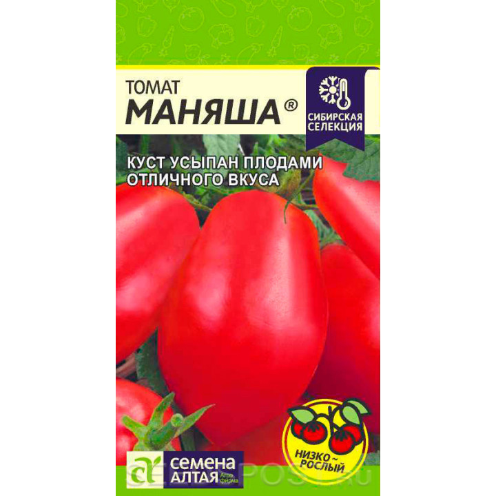 МАНЯША