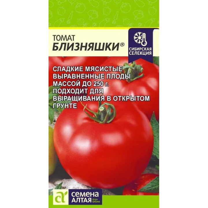 БЛИЗНЯШКИ
