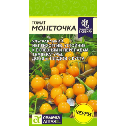 НИКИТКА