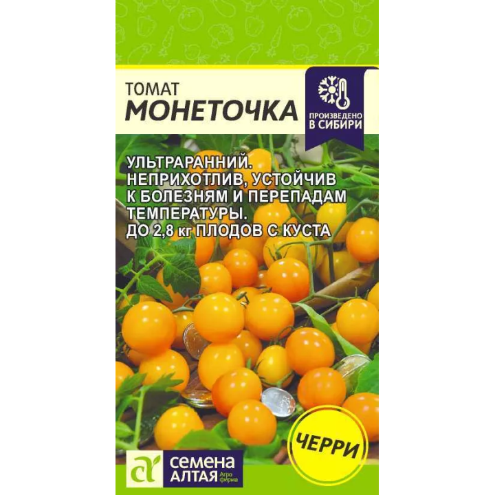 НИКИТКА