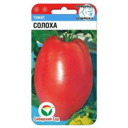 СОЛОХА