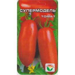 СУПЕРМОДЕЛЬ