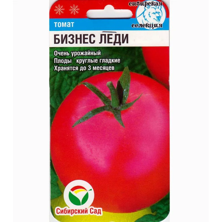 БИЗНЕС ЛЕДИ