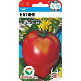 БАТЯНЯ