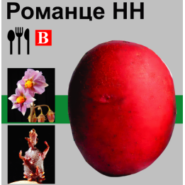 Романце / Romanze