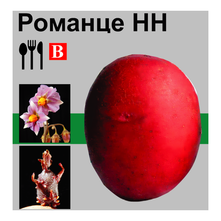 Романце / Romanze