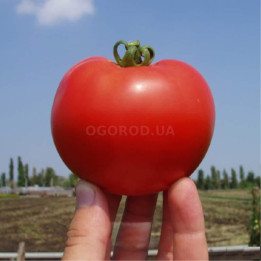 РЮГЕН