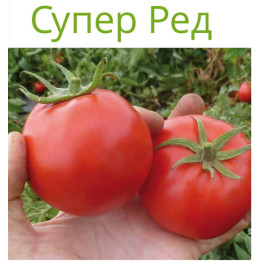 СУПЕР РЕД