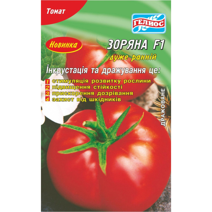 ЗАРЯНА