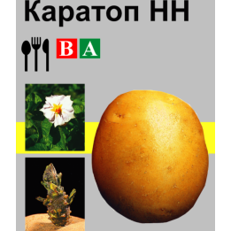 Каратоп / Karatop