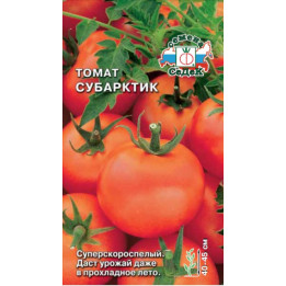 СУБАРКТИК