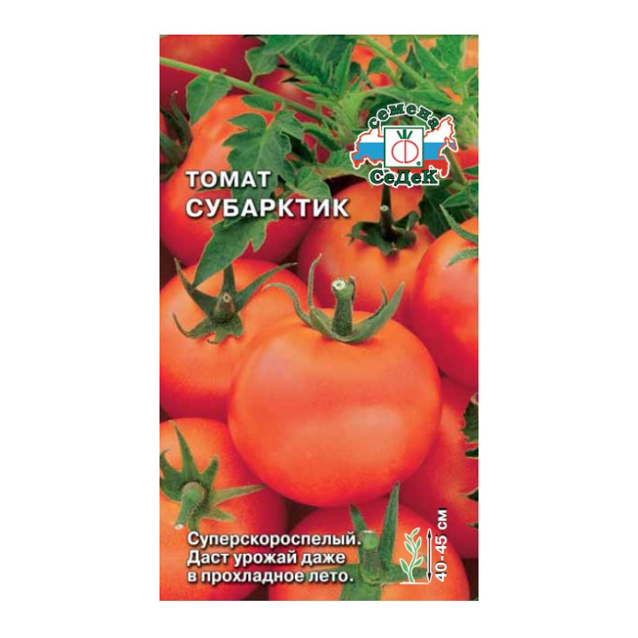 СУБАРКТИК